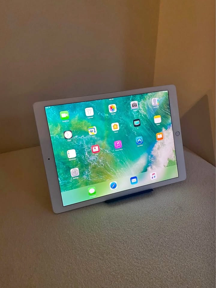 iPad Pro 12.9" (2nd Gen)