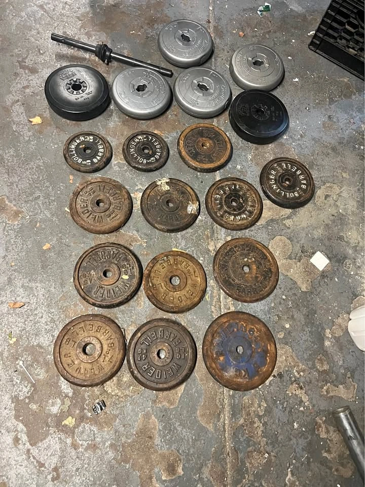 Sports Authority standard 1" hole weight plates weights