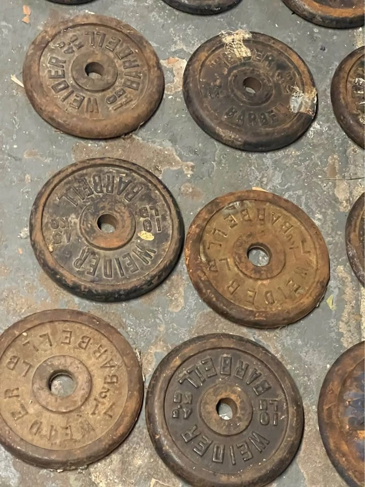 Sports Authority standard 1" hole weight plates weights - photo 3