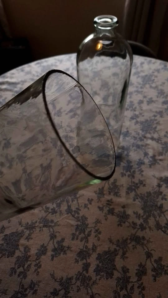 Bell Jars - photo 4