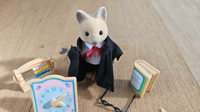 Sylvanian Families Tomy School Master Teacher Cat