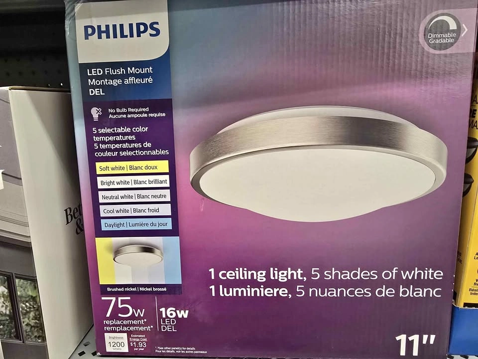 Philips 11" LED Flush Mount Ceiling Light