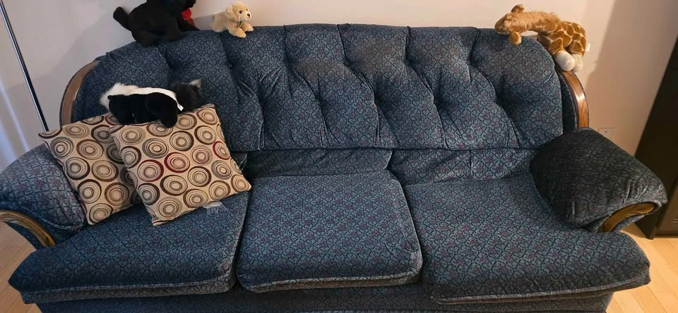 Matching couch & easy chair - photo 2