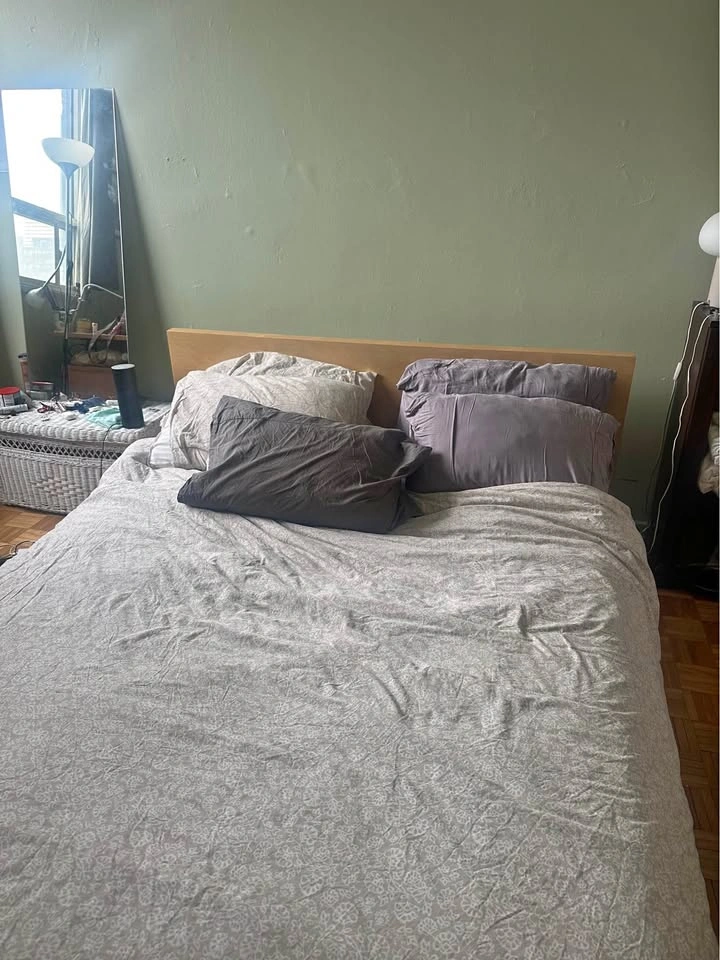 IKEA MALM Queen Bed Frame and mattress