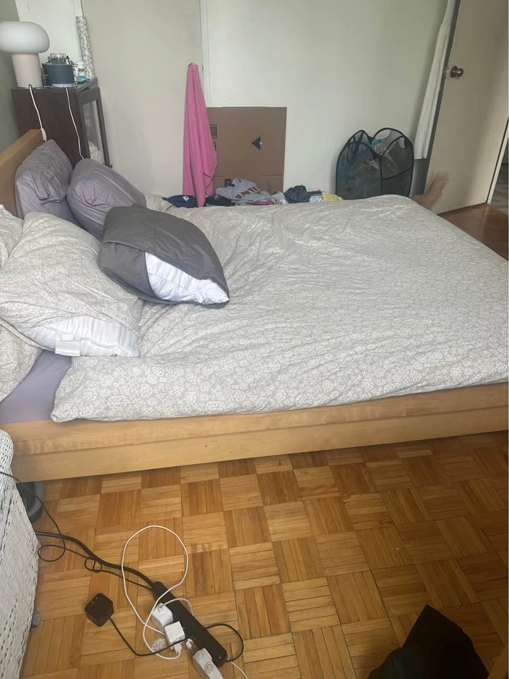 IKEA MALM Queen Bed Frame and mattress - photo 3