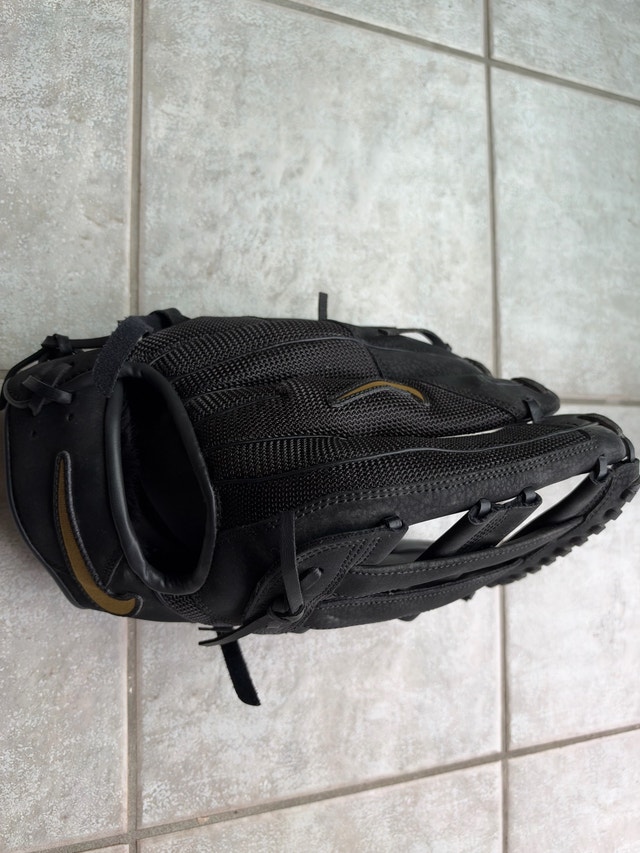 softball bat + gloves