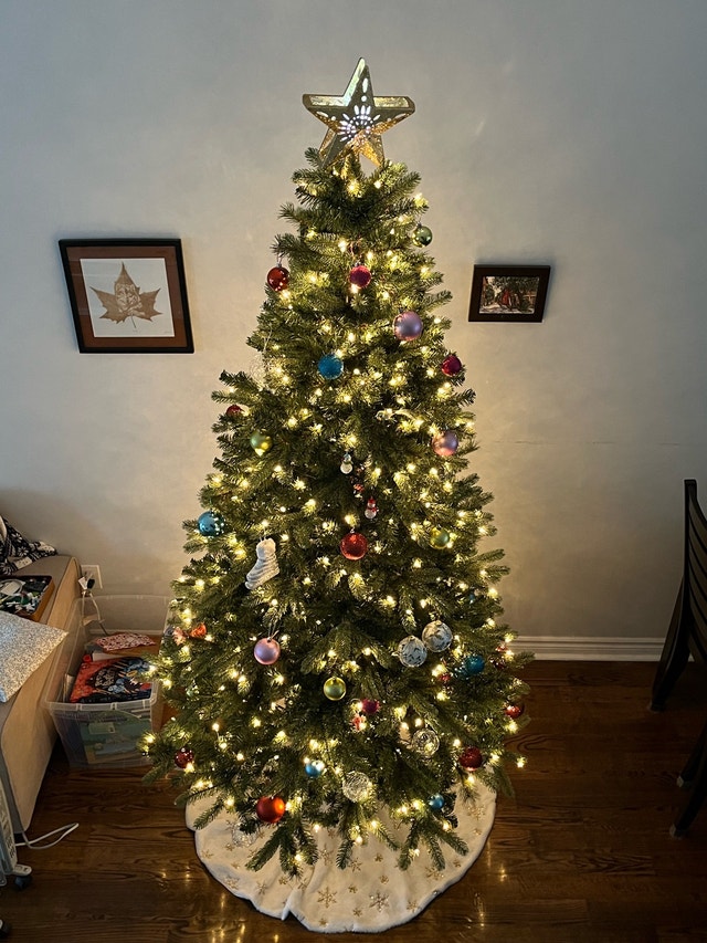 Christmas tree - photo 4