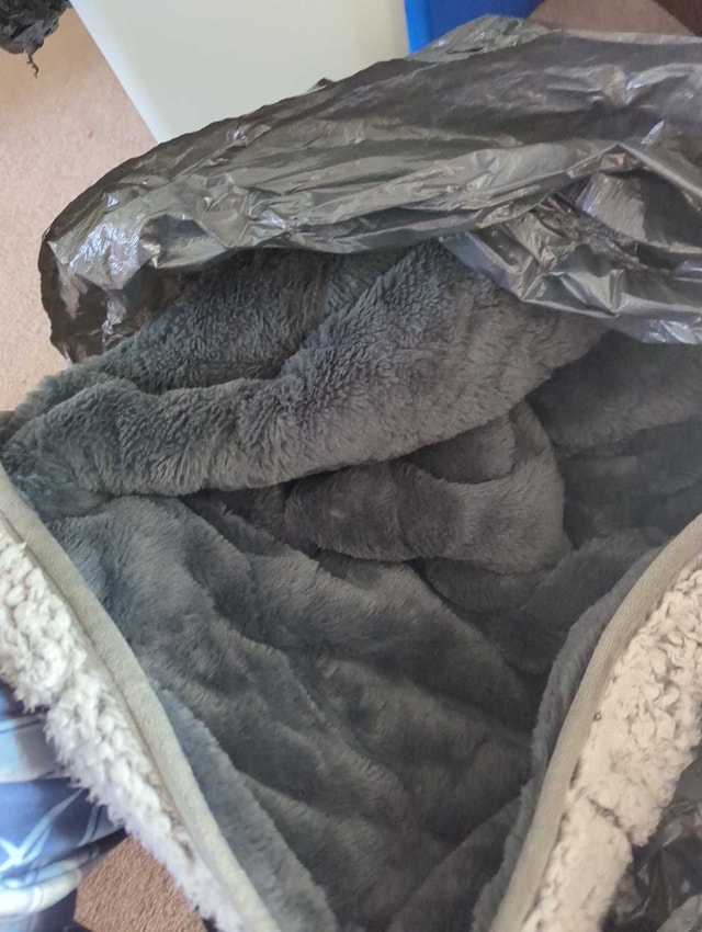 FREE weighted blanket