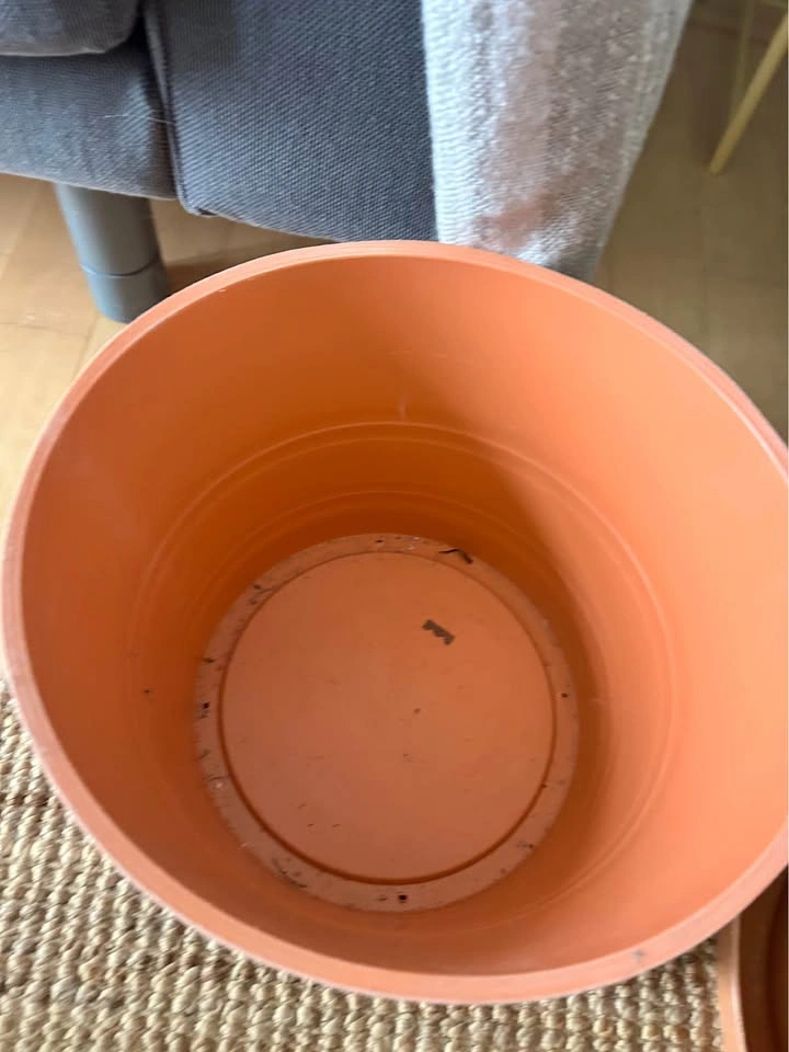 13 x 9“ Plastic Planter Pot with Saucer - photo 2