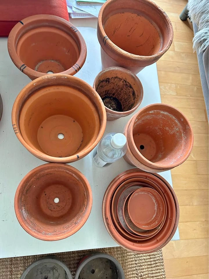 Terracotta Plant Pots and plastic Saucers Bundle