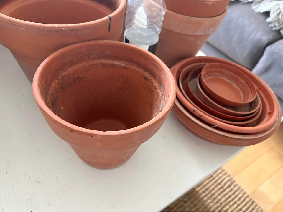 Terracotta Plant Pots and plastic Saucers Bundle - photo 2