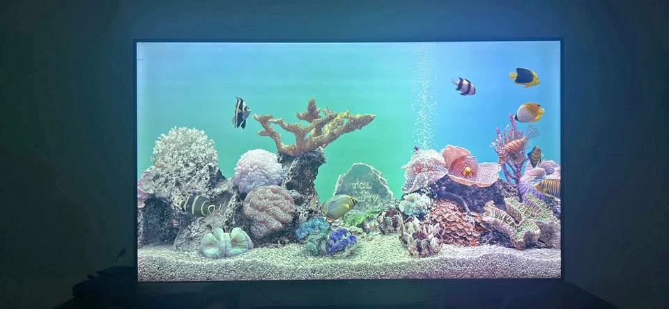 TCL Roku Smart TV