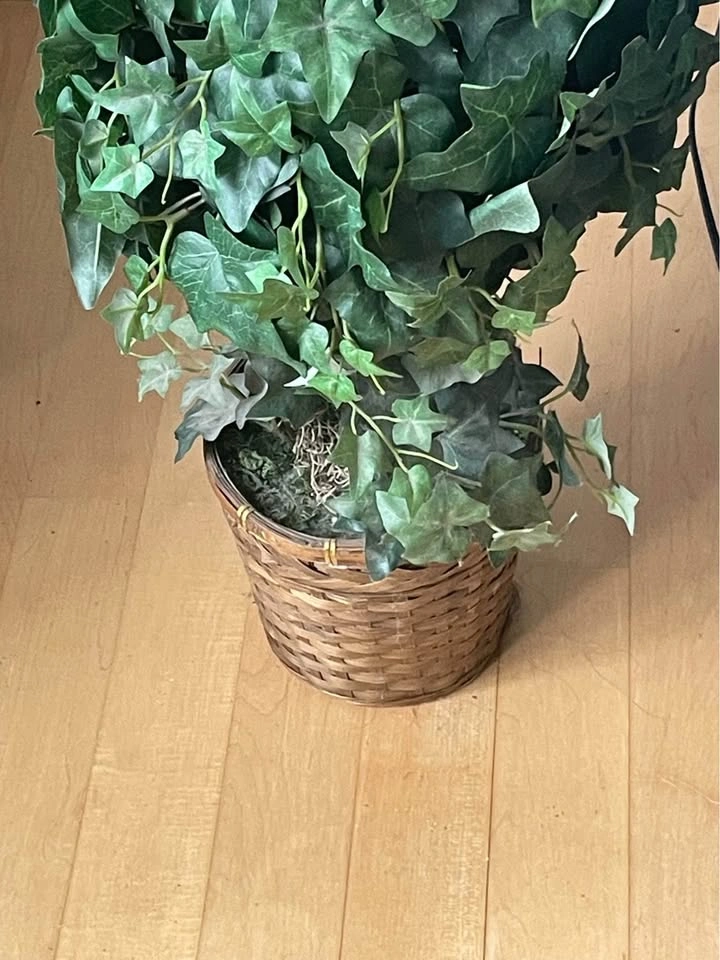 4 ft fake ivy decor in wicker planter - photo 2