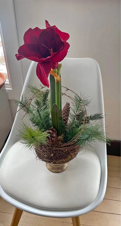 Beautiful fake amaryllis in pot with decor
