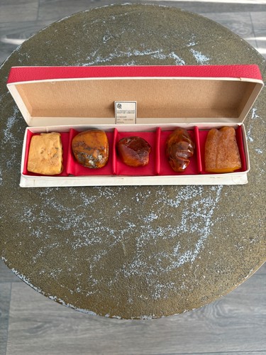 Vintage USSR Kaliningrad Souvenir Amber Stone Set Original Box