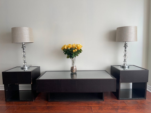 Moving Sale – Complete Living Room Set (Table, Stands & Lamps)