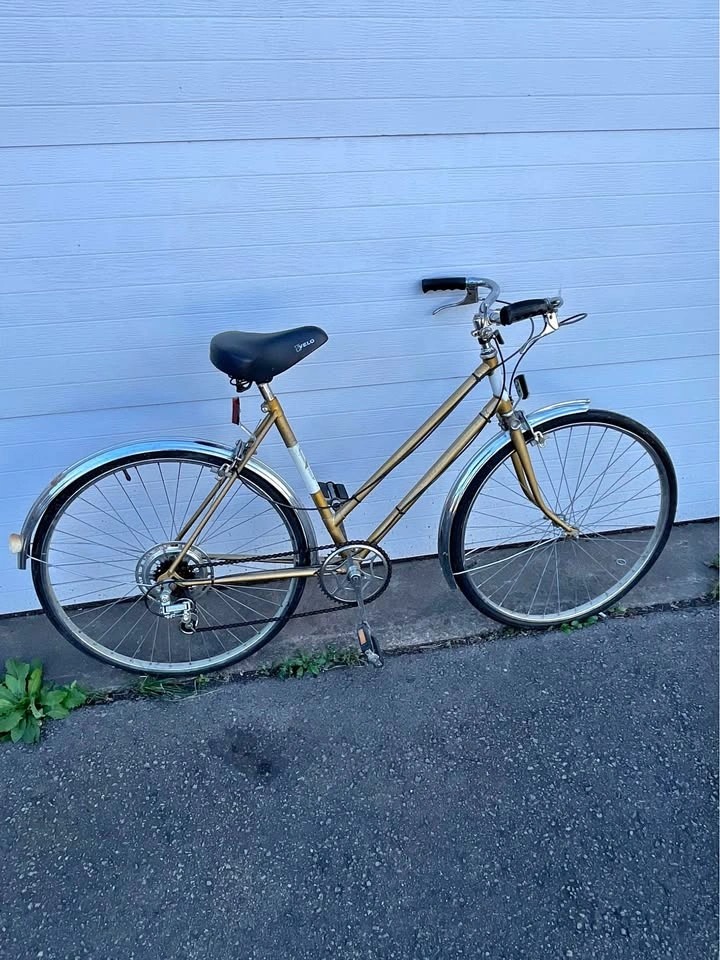 Vintage 5 speed Raleigh step through bike