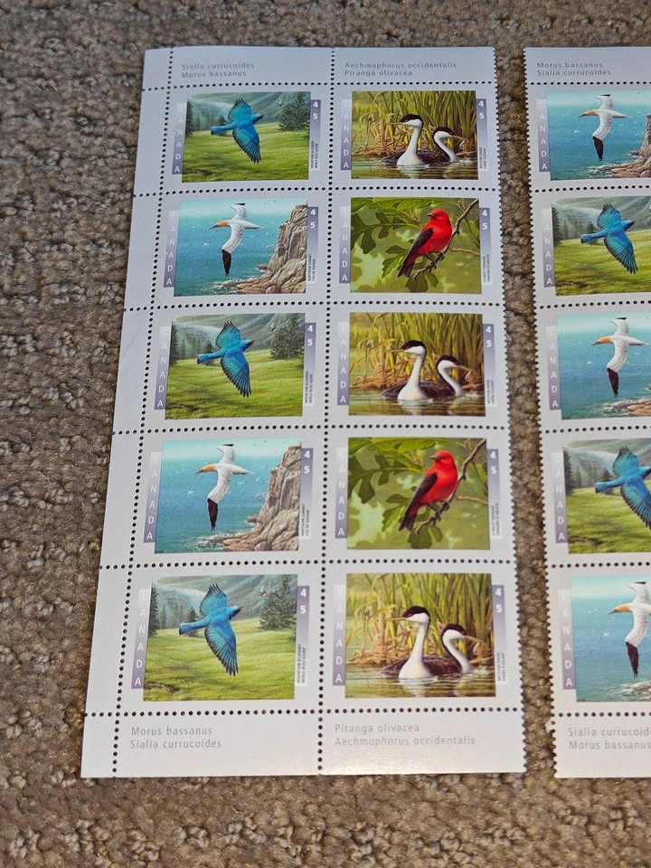 Stamp Collection Birds of Canada - (1996-1999) - Total 68 Stamps - photo 5