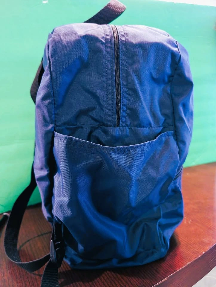 Disney Backpack/Knapsack (Disney Institute, Lightweight, Navy) - photo 2