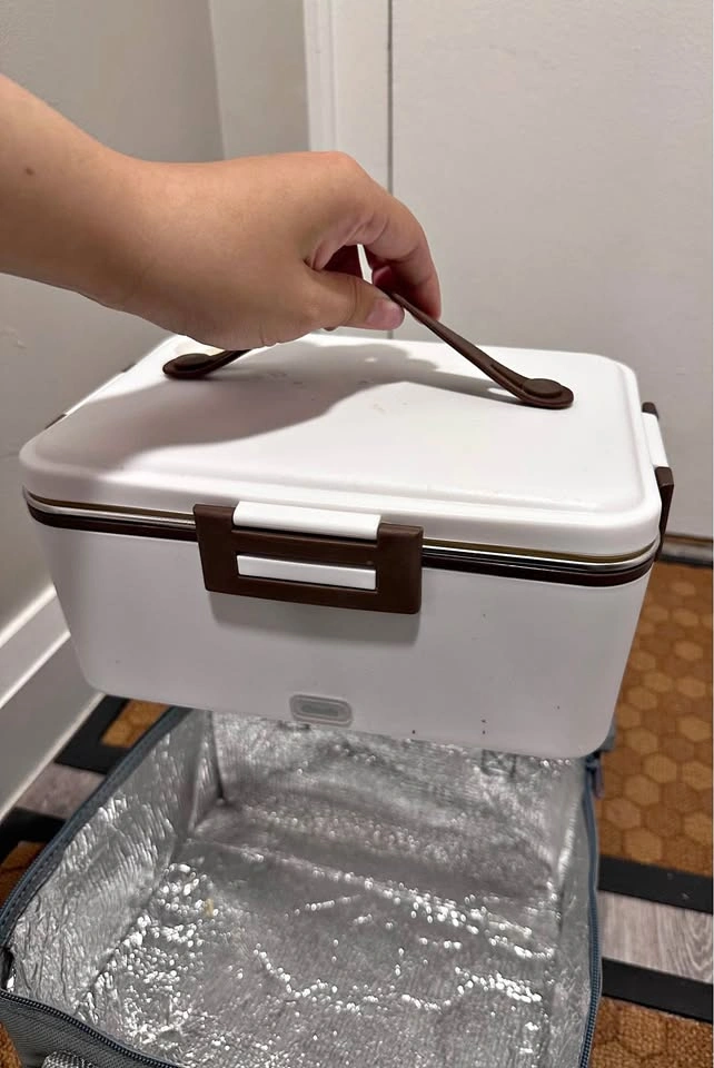 Electric lunch box