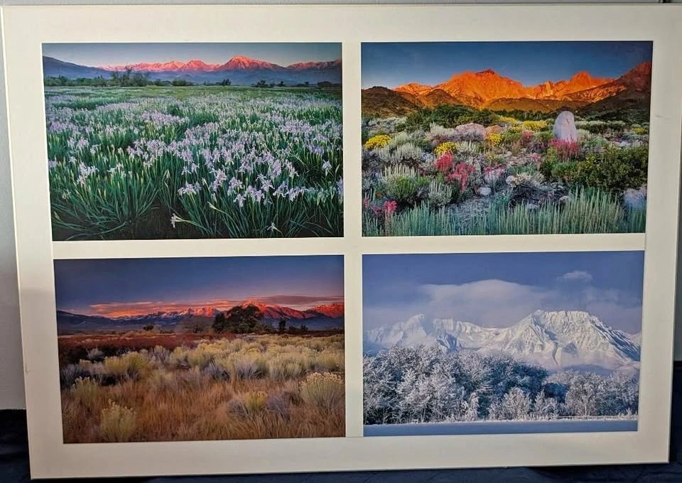 Artwork - Alaska's Four Seasons (Photo Reproduced on Wood Plaque