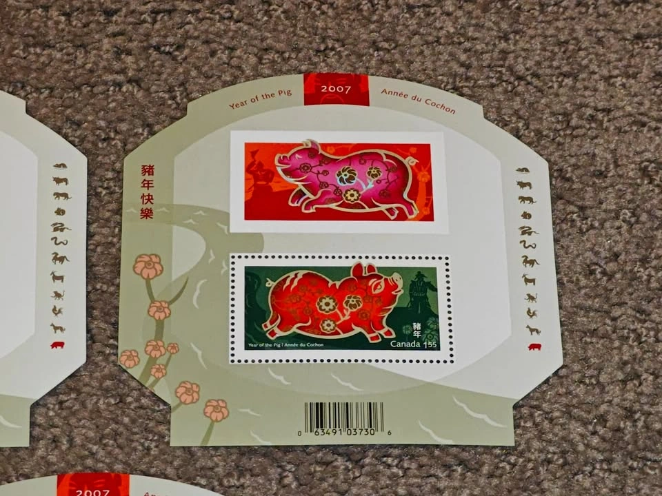 Stamp - 2007 Lunar New Year - Year of the Pig Souvenir Sheet - photo 3