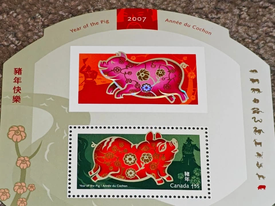 Stamp - 2007 Lunar New Year - Year of the Pig Souvenir Sheet - photo 5