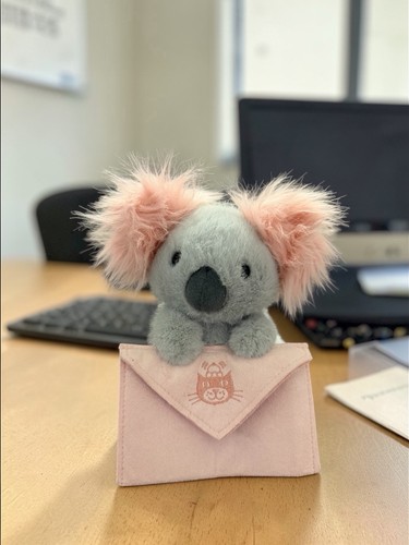 Authentic Jellycat Koala With Message