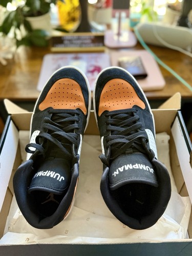 Authentic Jordan Access Shattered Backboard