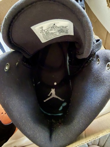 Authentic Jordan Access Shattered Backboard - photo 3