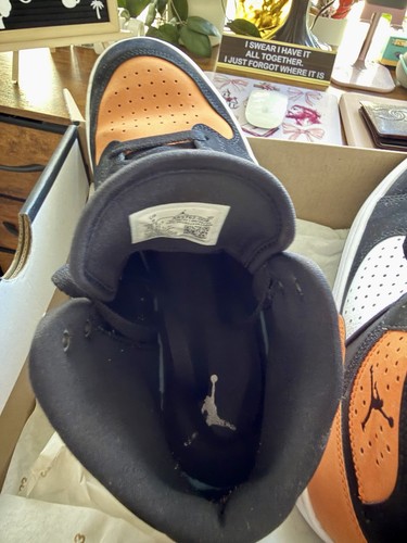Authentic Jordan Access Shattered Backboard - photo 4
