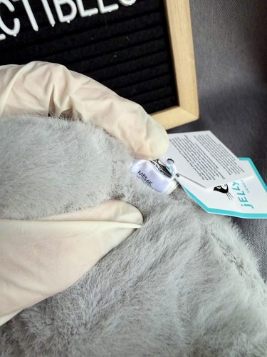 Authentic Jellycat Koala with Message - photo 5