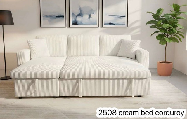 Amazing Deal Sleeper Sofa Bed Pull-Out Sectional with Storage - photo 2