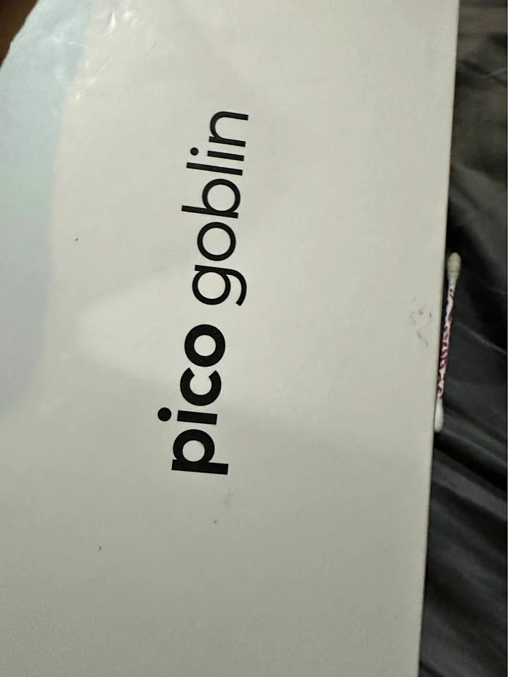 Pico goblin vr head set