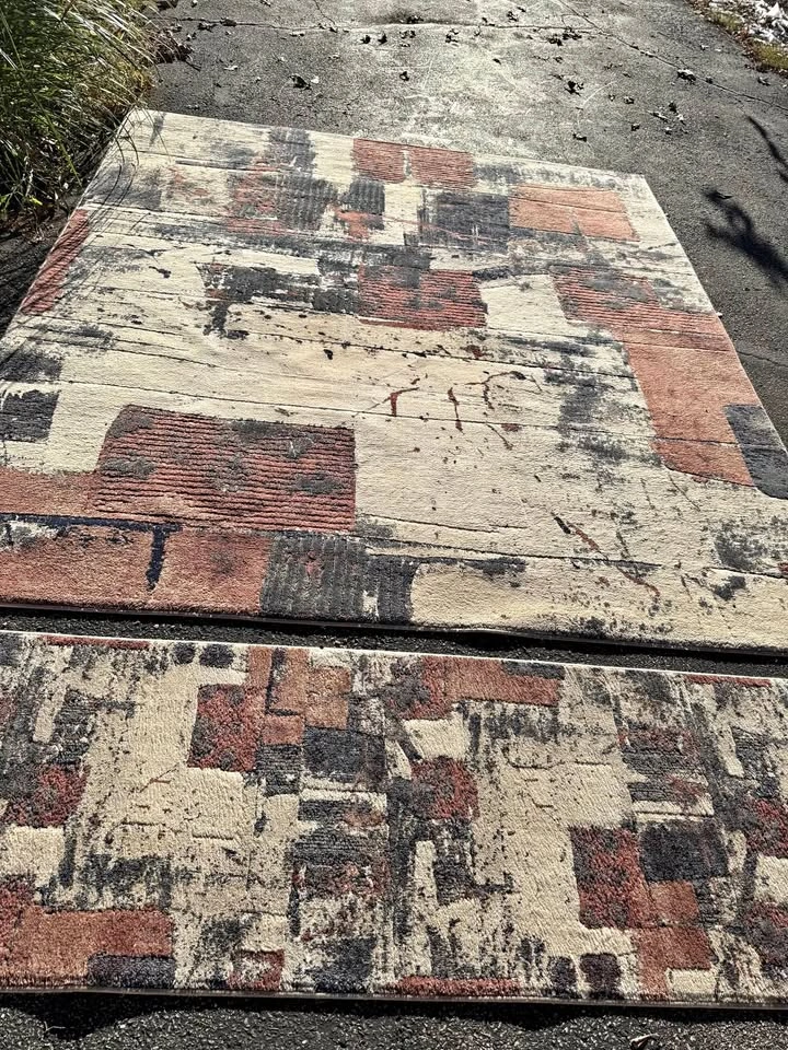 Large Area Rug 8x10 ($50), Runner 26”x88” ($20)