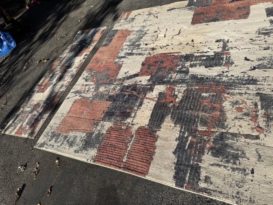 Large Area Rug 8x10 ($50), Runner 26”x88” ($20) - photo 3