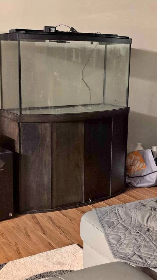 Bowfront Aquarium with Matching Stand
