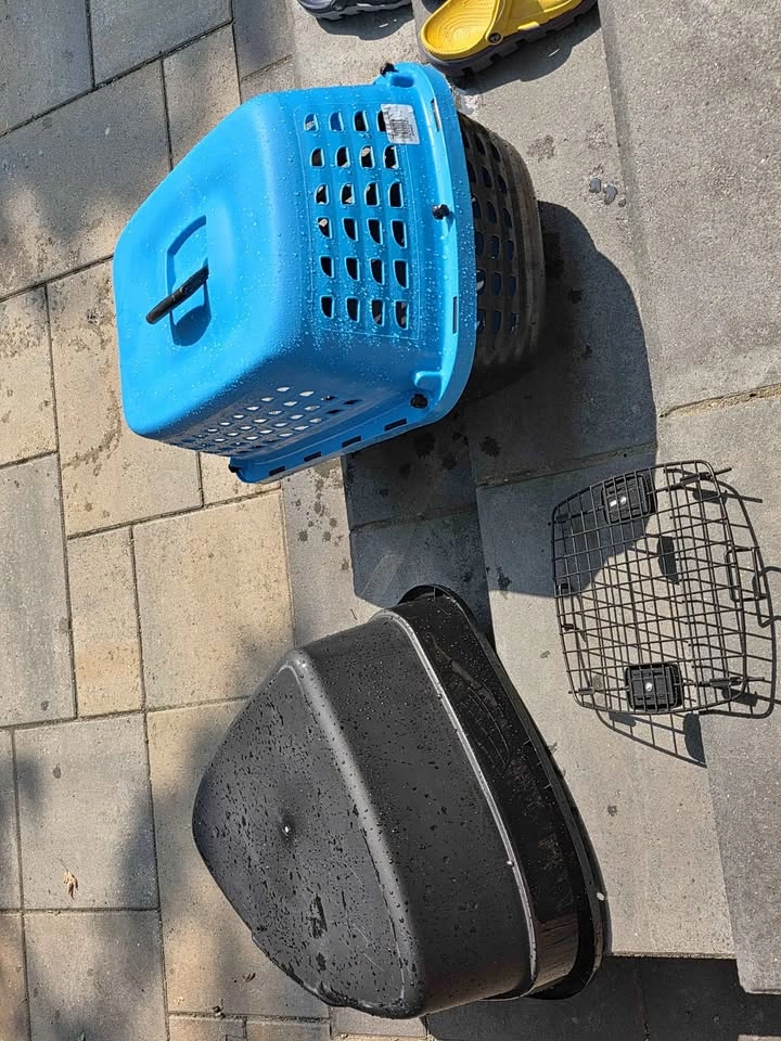 24" pet carrier and high sided corner litter box