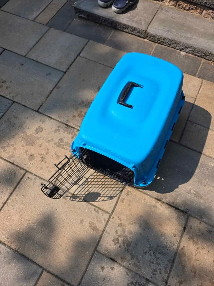 24" pet carrier and high sided corner litter box - photo 5