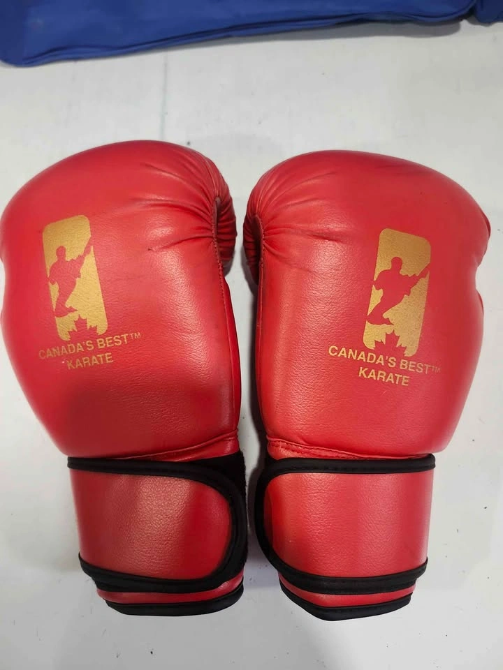 Canada's Best Karate Sparring Gear - photo 4