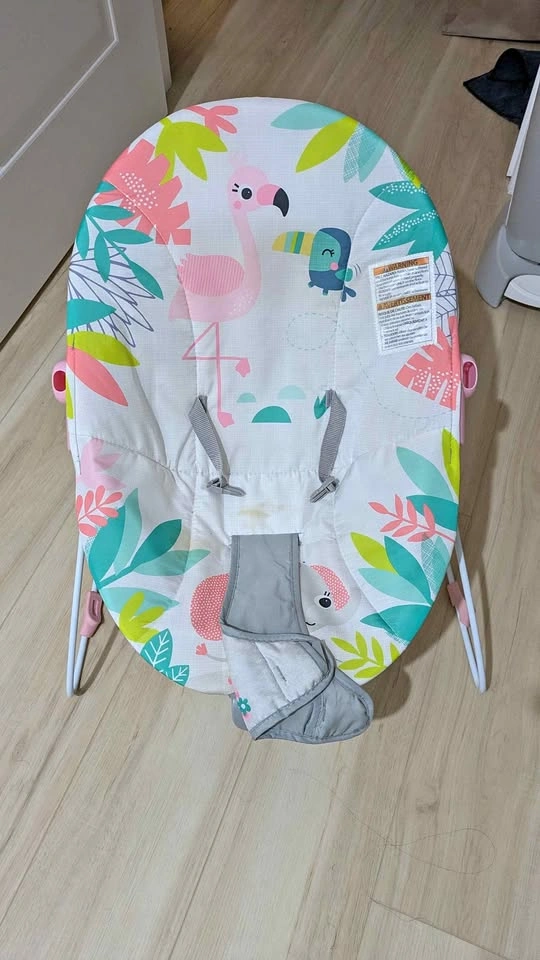 Bright Starts Flamingo Baby Bouncer