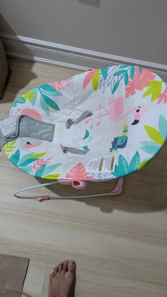 Bright Starts Flamingo Baby Bouncer - photo 2