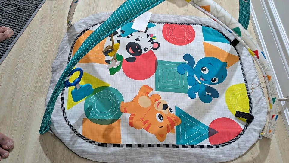 Baby Einstein Colorful Activity Gym Play Mat