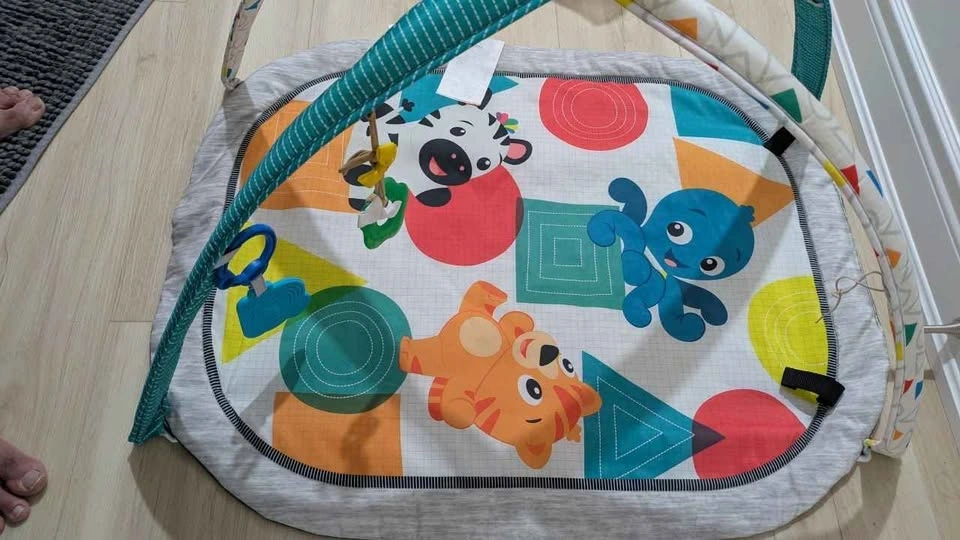 Baby Einstein Colorful Activity Gym Play Mat - photo 4