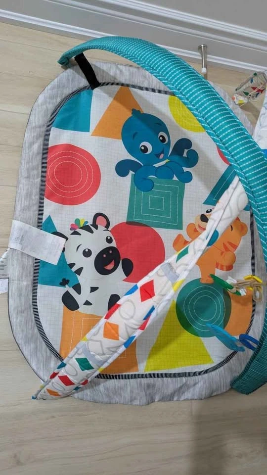Baby Einstein Colorful Activity Gym Play Mat - photo 5