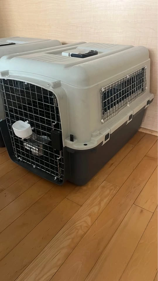 Large Pet Carrier / Travel Crate - photo 4