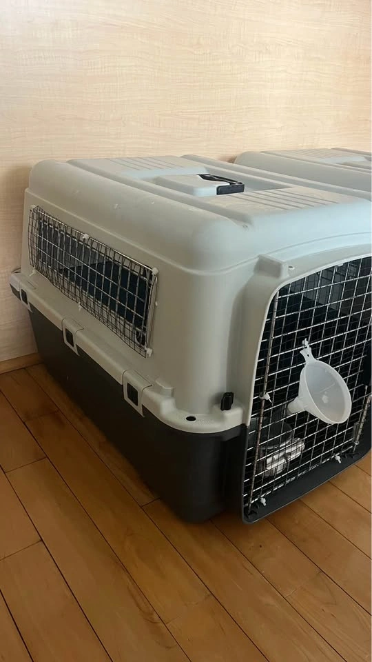 Large Pet Carrier / Travel Crate - photo 5