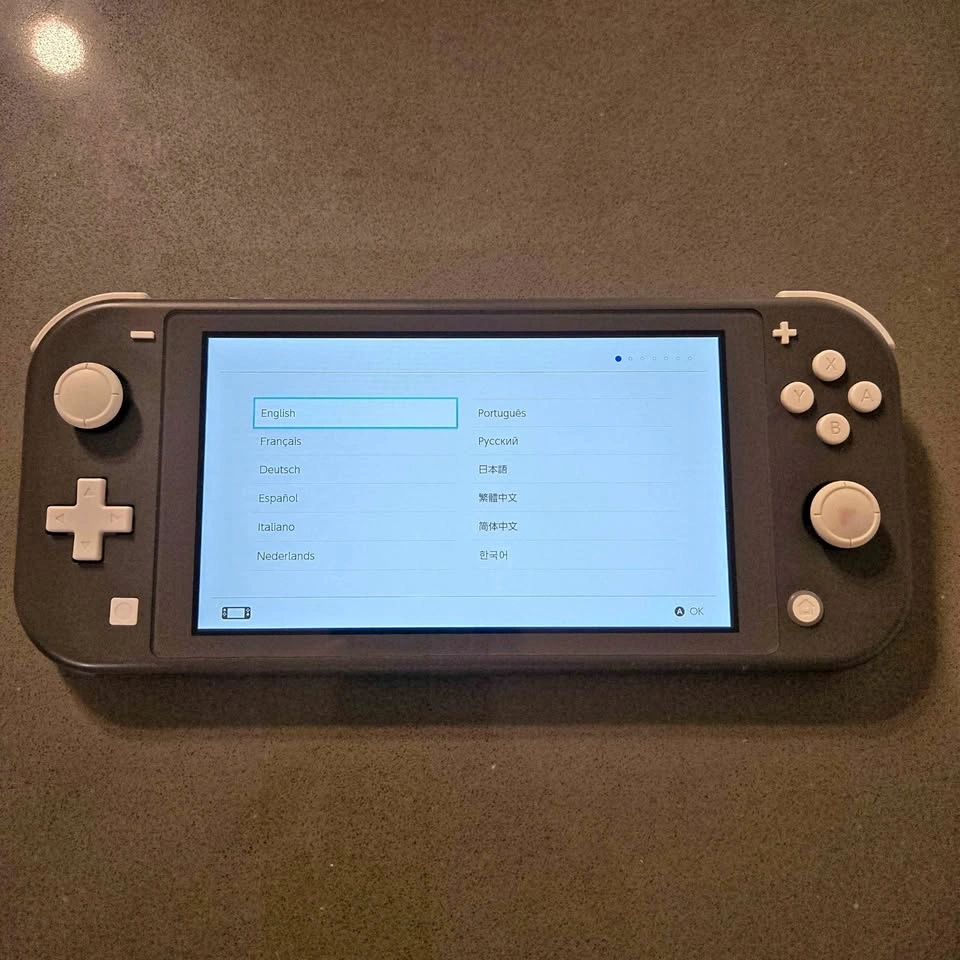 Nintendo Switch Lite - Gray