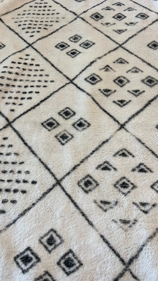 Brand New Plush Carpet