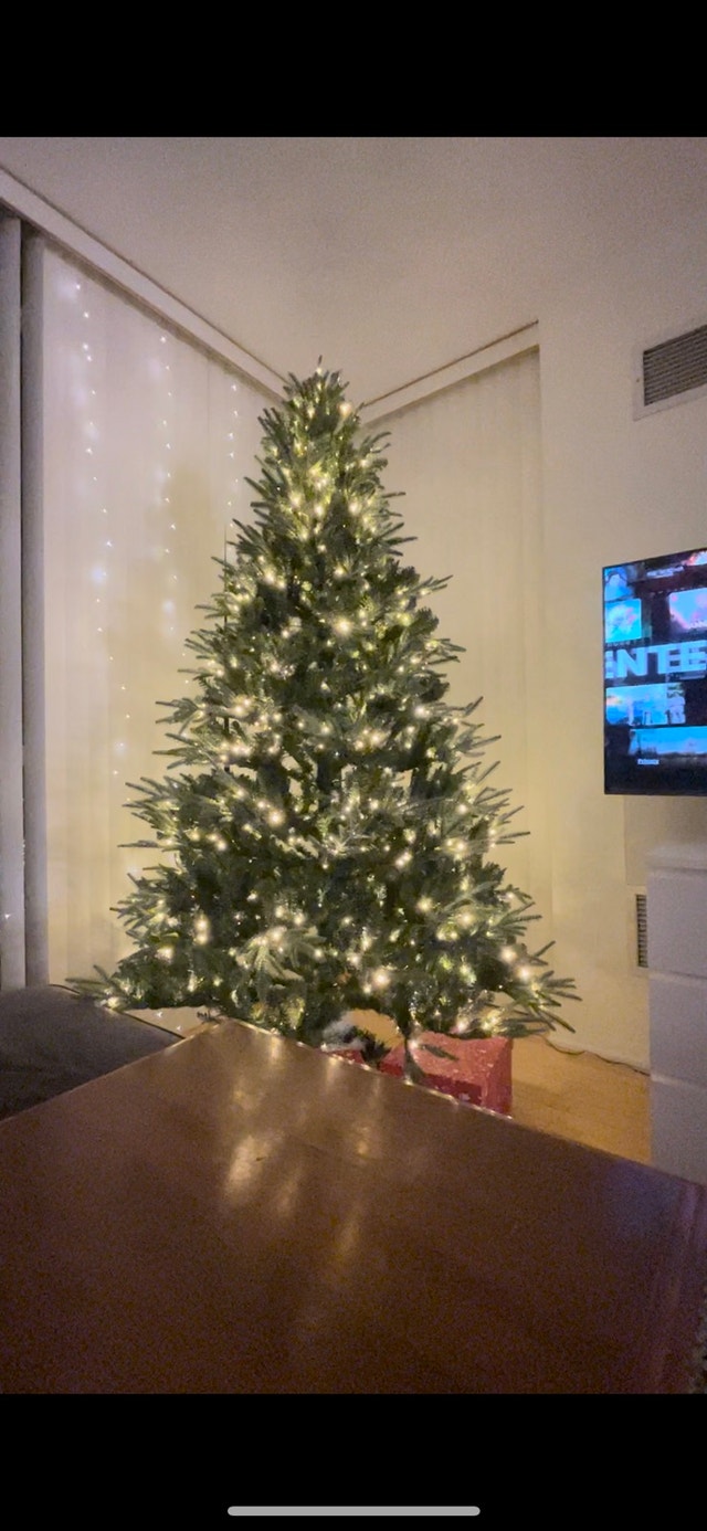 Christmas Tree with 8 lights modes